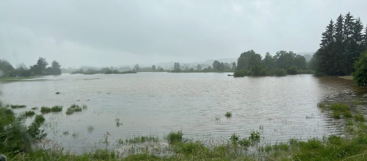 Zusam Hochwasser Juni 2024